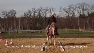 Western Horsemanship Training 3 - Claus Theurer - Wechseln