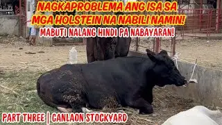 NAGKAPROBLEMA ANG ISA SA MGA HOLSTEIN NA NABILI NAMIN! | PART 3: CANLAON | SOLLE'S GANDANG BUHAY