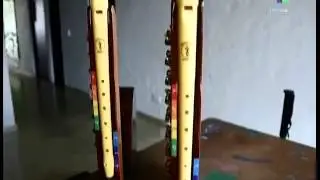 Colombian wins Innovators Award for musical instrument