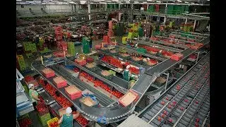 Unica Group primer exportador hort&iacute;cola de Espa&ntilde;a