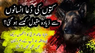 Kutton ki dua hafeez jalandhari ka ankhon dekha waqia || Dog's prayer || Sufism || Demystified Islam