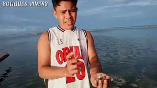 The Beautiful Island Botigues
