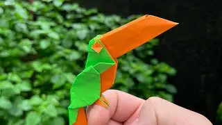 Toucan(Wei Lin Chen)