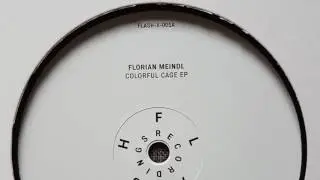 Florian Meindl - Colorful Cage [ FLASH Recordings ] #Viny #Ltd300