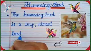 10 Lines Essay on Humming Bird | A Tiny Wonder of Nature | 10 Lines Four Ruled Cursive Writing Essay
