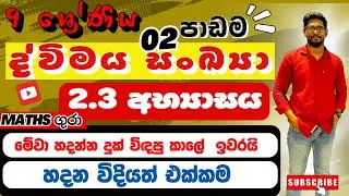 අභ්‍යාසය 2.3 ද්විමය සංඛයා  Binary Numbers -  09 ශ්‍රේණිය  -  02 පාඩම : by Maths Gura 