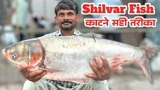 Amazing Big Shelver Fish Cutting Skills In Ghazipur Fish Market Delhi |Indian Fish Cutting |RRRM |