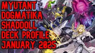 (UPDATE) Yu-Gi-Oh! *MYUTANT DOGMATIKA SHADDOLL* Deck Profile (January 2025) + 2 Card Combo