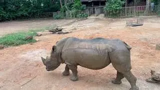 ZOO MELAKA 2023