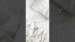 Wild by Nature SLEEP+ Full Spectrum CBD Gummies