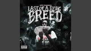 Chucky flow (feat. Deeyoungin & Kayoo)