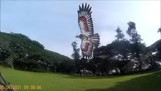 Fun Fly 1.4m Beijing Pan Ying Kite (FPV)