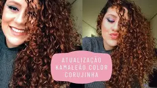 Atualização Corujinha Kamaleão Color 4 meses depois + FINALIZAÇÃO DOS CACHOS