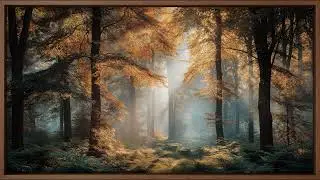 Golden Autumn Forest Calm With Timeless Nature Still | Still Art Screen Saver | 4K