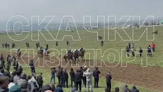 @horseworldchannel @horses.official @RacingDubai
