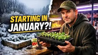 7 Vegetables You MUST Start in January for Early Harvests