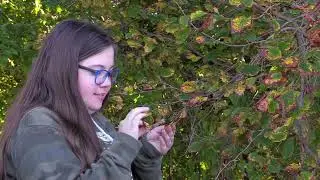 Major in plant science at the University of Delaware