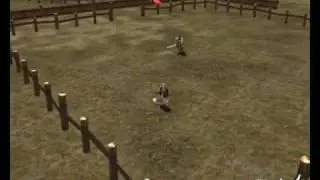 Never Underestimate a Girl from Lineage II