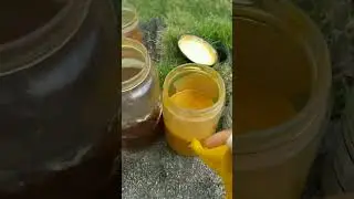 Changing Color of Turmeric to Dye Fabric