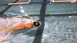 masterswim israel presents: fly chest before the hands* ( masterswim.co.il - jon selby)