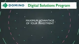 Domino Digital Solutions Program