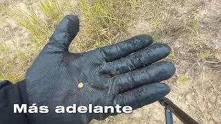 PEPITAS DE ORO DE VARIOS TAMA&Ntilde;OS CON EL GOLD KRUZER + TIPS PARA B&Uacute;SQUEDA