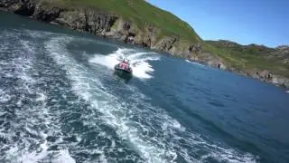 Ribquest boats. Salcombe
