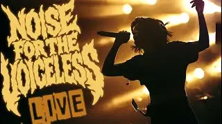ENRAGED  [Live in Berlin] by NOISE FOR THE VOICELESS
