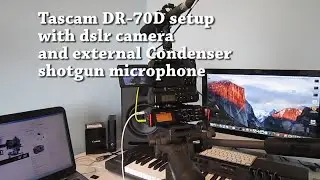 Настройка Tascam DR-70D с цифровой зеркальной камерой и внешним конденсаторным микрофоном-пушкой