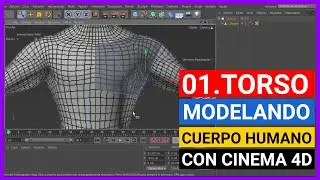 ✅ Cinema 4D - Modelando cuerpo humano en 3D | 01. Torso
