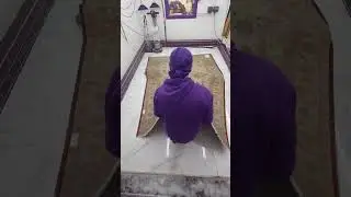 Cleaning a rug worth &pound;10,000. Wool & Silk Tabriz Rug #rugcleaning #arearug #carpetcleaningasmr