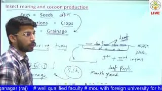 ENTO 321 Lecture 12: Silk worm rearing  and cocoon production