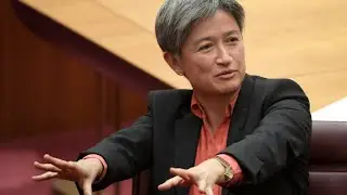 Penny Wong ‘completely distracted’ with appeasing Palestine