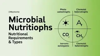 Nutritional Requirements & Nutritional Types  | Microbial Nutrition Explained | Mootechie