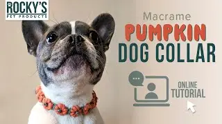 Macrame Pumpkin Dog Collar DIY Crafting Tutorial, Make Your Own Dog Collar Halloween and Fall Crafts
