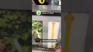Graduation 👩&zwj;🎓 2025 @dollartree Grad 🧑&zwj;🎓 Decor