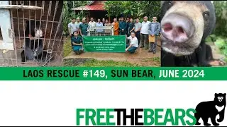 2,000km Sun Bear Rescue!