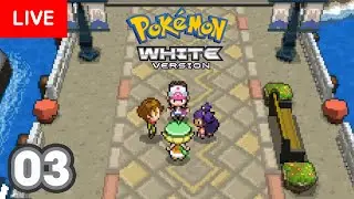 Pok&eacute;mon Black White Nuzlocke Challenge | Running through the forest 🌆
