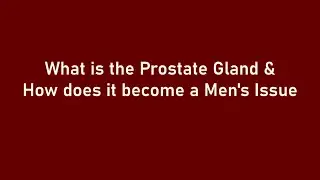 TCM | Traditional Chinese Medicine | The Prostate & Beyond: Men&rsquo;s Health in Focus