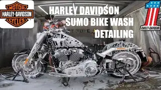 Harley Davidson Fatboy - Sumo Bike Wash Bangkok