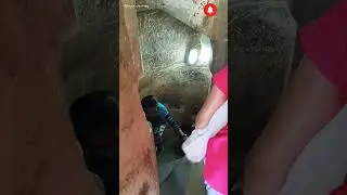 Secrets of Charminar, Hyderabad#ranjanjourney #shorts#youtube#hyderabad #charminar#short #shortvideo