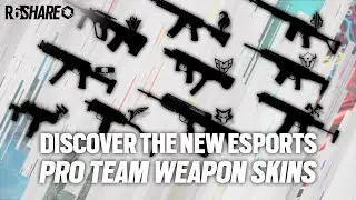 Новый скин для оружия Pro Teams доступен! | Rainbow Six Esports