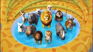 Learn Wild Animal Names for Kids | Fun Water Play with Polar Bear Armadillo Lion Antelope and Wolf