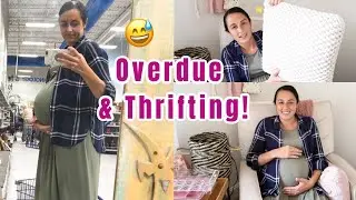 New! My First Thrift Haul of 2020 | Thrift with Me | Goodwill Haul