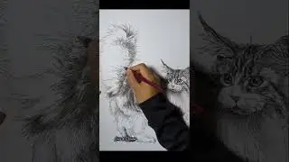 Drawing a Realistic Cat with Pen &ndash; Amazing Fur Details