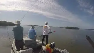 everything you need for a successful day of fishing on the nature coast