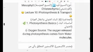 Botany summary Lec (9,10,11)