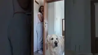 Playing hide and seek with my dog 🐶 😂
