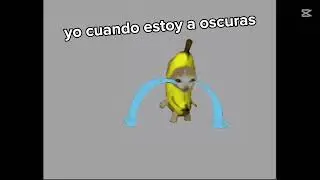 Yo cuando estoy con la luz apagada #xd #parati #humor #animacion #bananacat