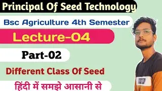 Principles Of Seed Technology Lecture-04 Part- 02 Bsc Agriculture 4th Semester#DifferentClassofSeed